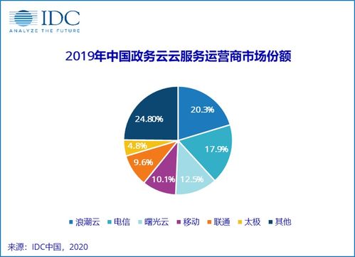 2019年中國(guó)政務(wù)云服務(wù)運(yùn)營(yíng)商市場(chǎng)份額報(bào)告發(fā)布與市場(chǎng)營(yíng)銷策劃服務(wù)分析